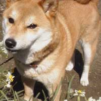 小首をかしげ・・・