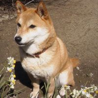 お座り!(その視線の先には・・・)