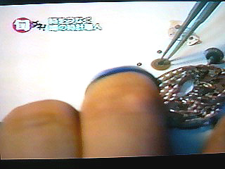 リフレッシュ・タッキーの旬ダネ
