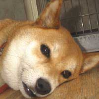 あとは寝るだけ