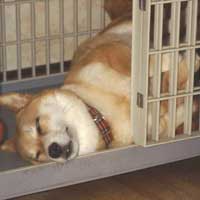 足が可愛くないですか?(親バカ)